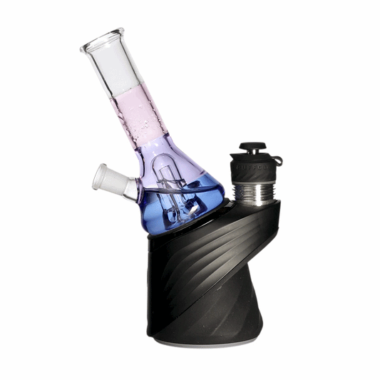 BigFUN! Tricolor Peak Tops - alternate view | Buddy Brandz