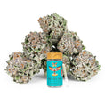 Load image into Gallery viewer, Revelry Lemon Cherry Gelato (LCG) THCA Pre Rolls 14 Pack by Smoke Drop - view 2 | Buddy Brandz