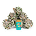 Load image into Gallery viewer, Revelry Lemon Cherry Gelato (LCG) THCA Pre Rolls 7 Pack by Smoke Drop - view 2 | Buddy Brandz