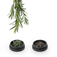 Laad de afbeelding in de Gallery-viewer, Ongrok Plant-Based Hemp Grinder by Smoke Drop - view 3 | Buddy Brandz