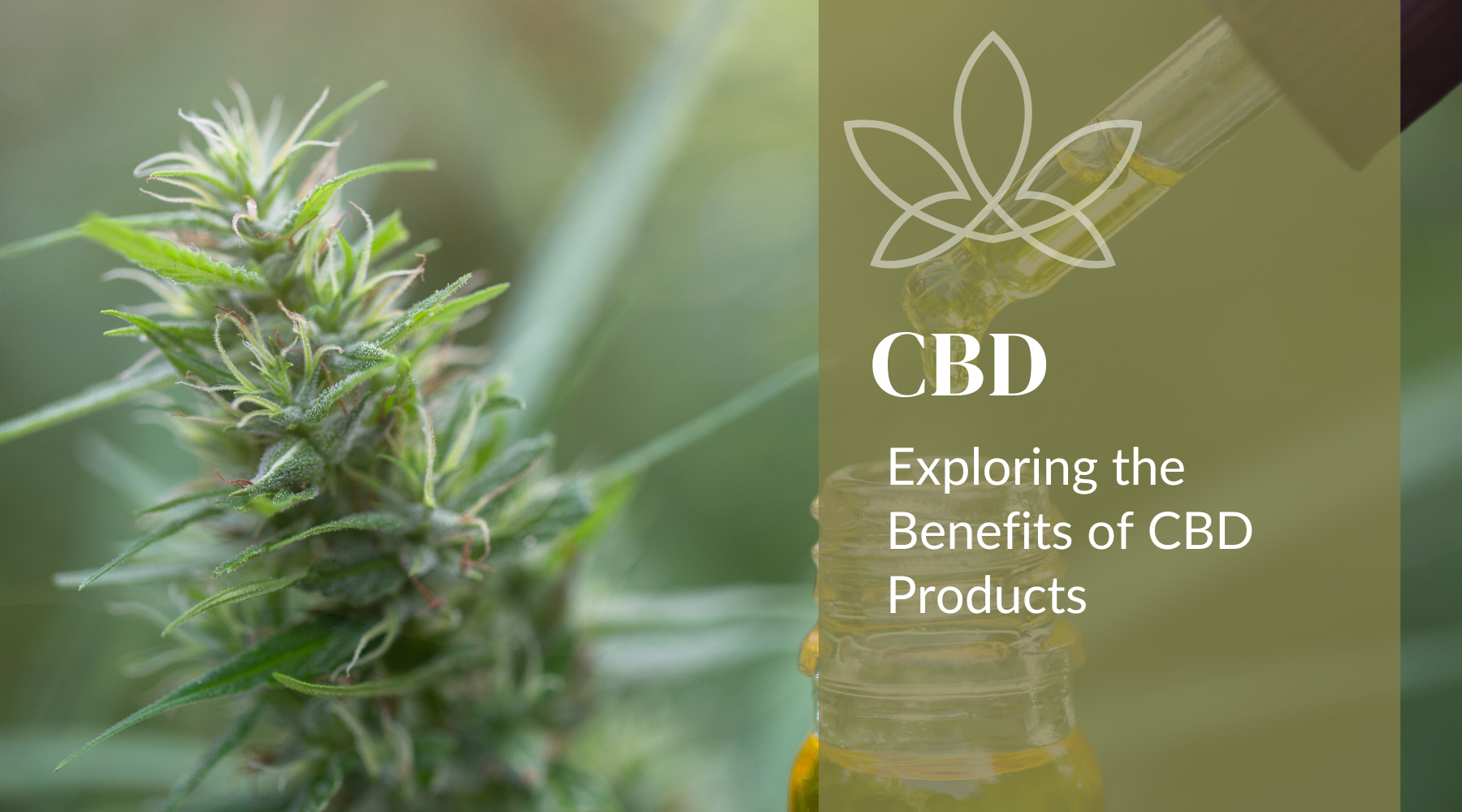 CBD for Wellness: Exploring the Benefits of CBD Products