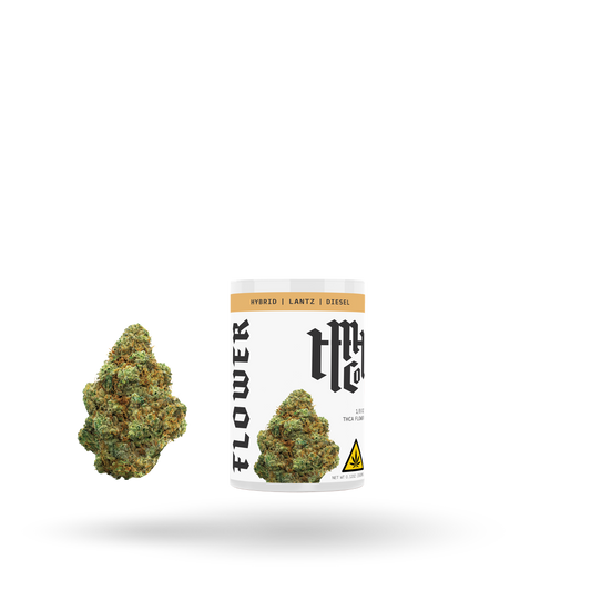 THCa Flower: Lantz (Hybrid), 1/8oz | Buddy Brandz