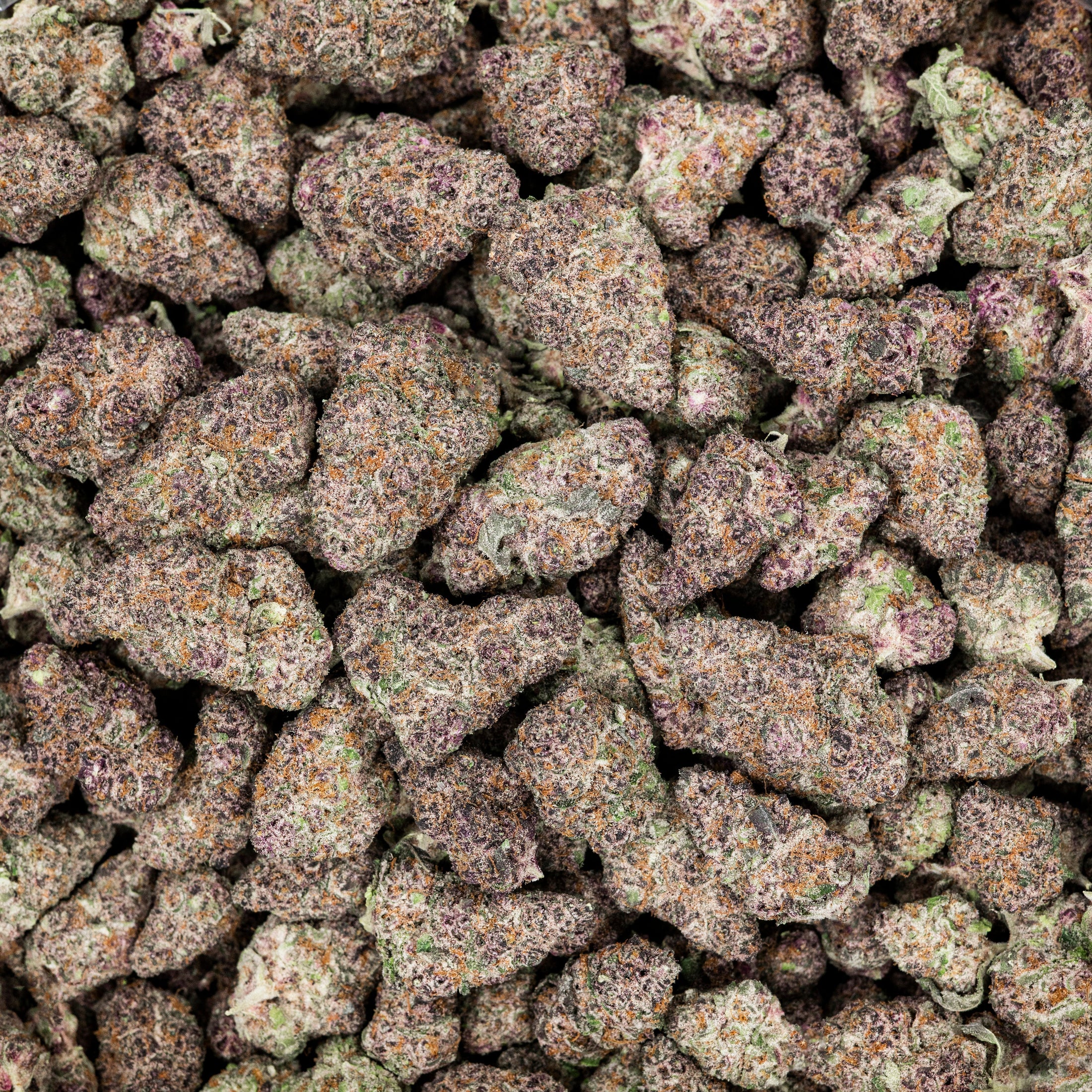 Revelry Cherry Sunrise THCA Flower (AAA Indoor) by Smoke Drop - view 8 | Buddy Brandz