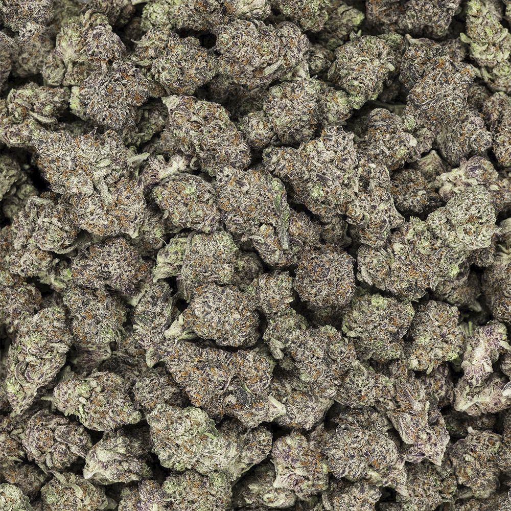 Revelry Premium Indoor THCA Pre-Rolls | 0.5g | 14pc Pack by Smoke Drop - view 15 | Buddy Brandz