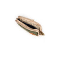Load image into Gallery viewer, Revelry Gordito - Padded Pouch by Smoke Drop - view 10 | Buddy Brandz
