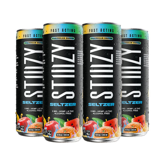 STIIIZY D9 Hemp Seltzer | 12oz | 5mg | 4ct Pack | Buddy Brandz
