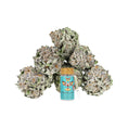Load image into Gallery viewer, Revelry Premium Indoor THCA Pre-Rolls | 0.5g | 7pc Pack by Smoke Drop - view 17 | Buddy Brandz
