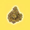 Load image into Gallery viewer, Lemon Cherry Gelato - THCa Flower - Hybrid by Grenco Goods | Buddy Brandz
