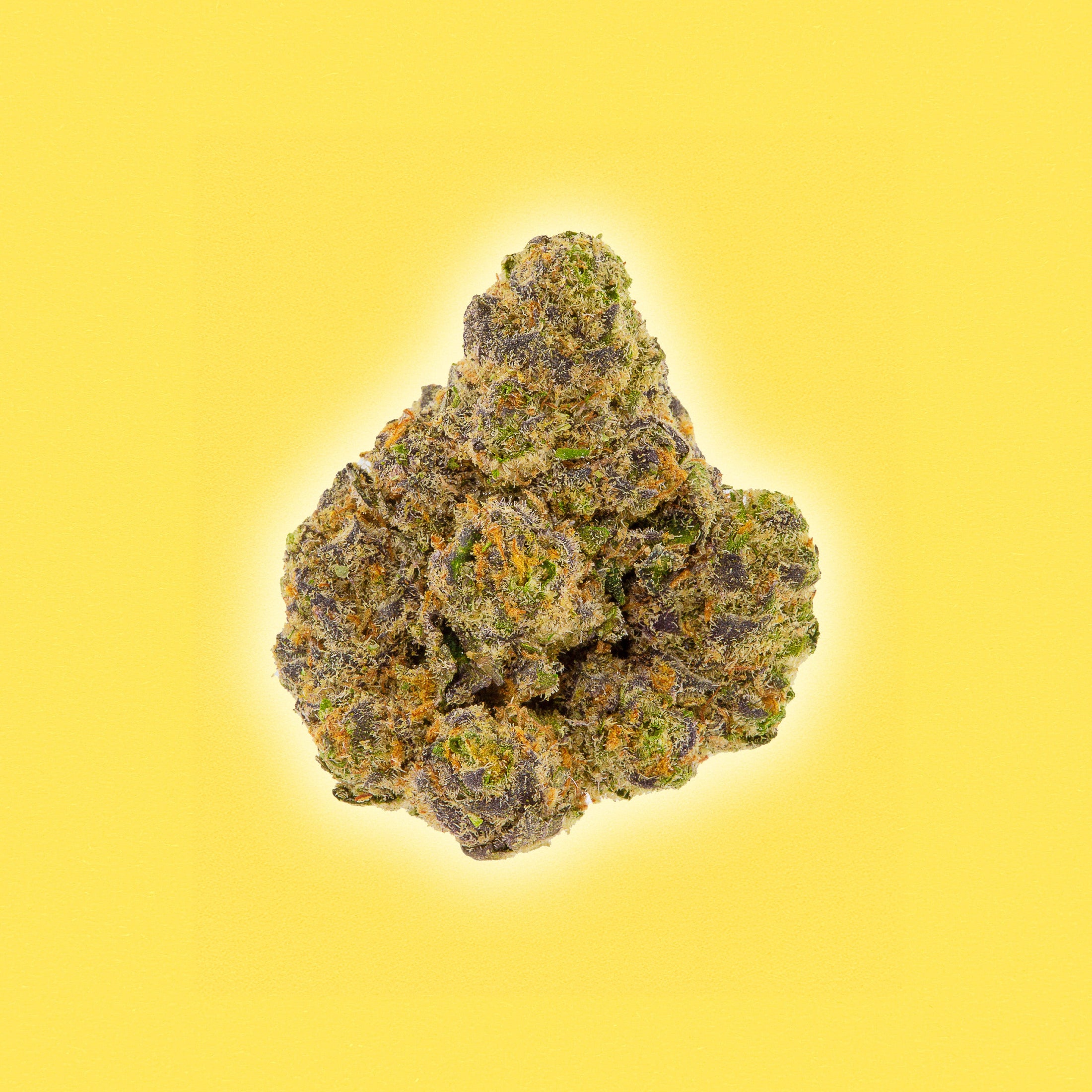 Lemon Cherry Gelato - THCa Flower - Hybrid by Grenco Goods | Buddy Brandz