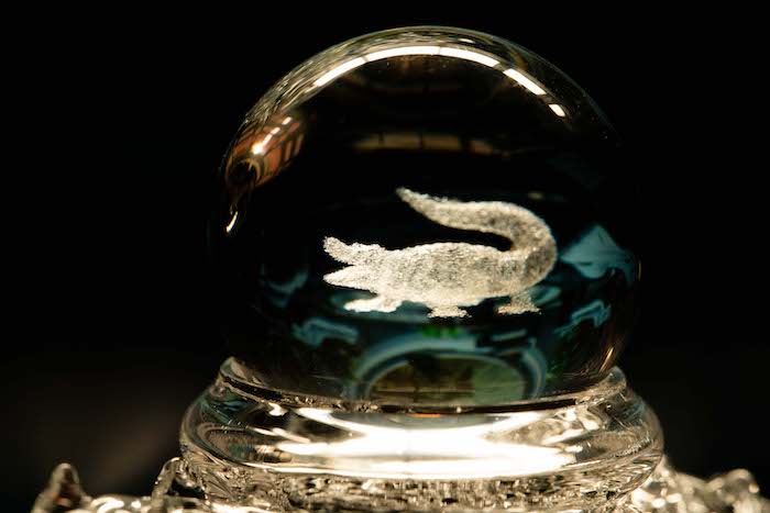 Space King Crocodile Banger - Limited Edition by Space King - view 4 | Buddy Brandz