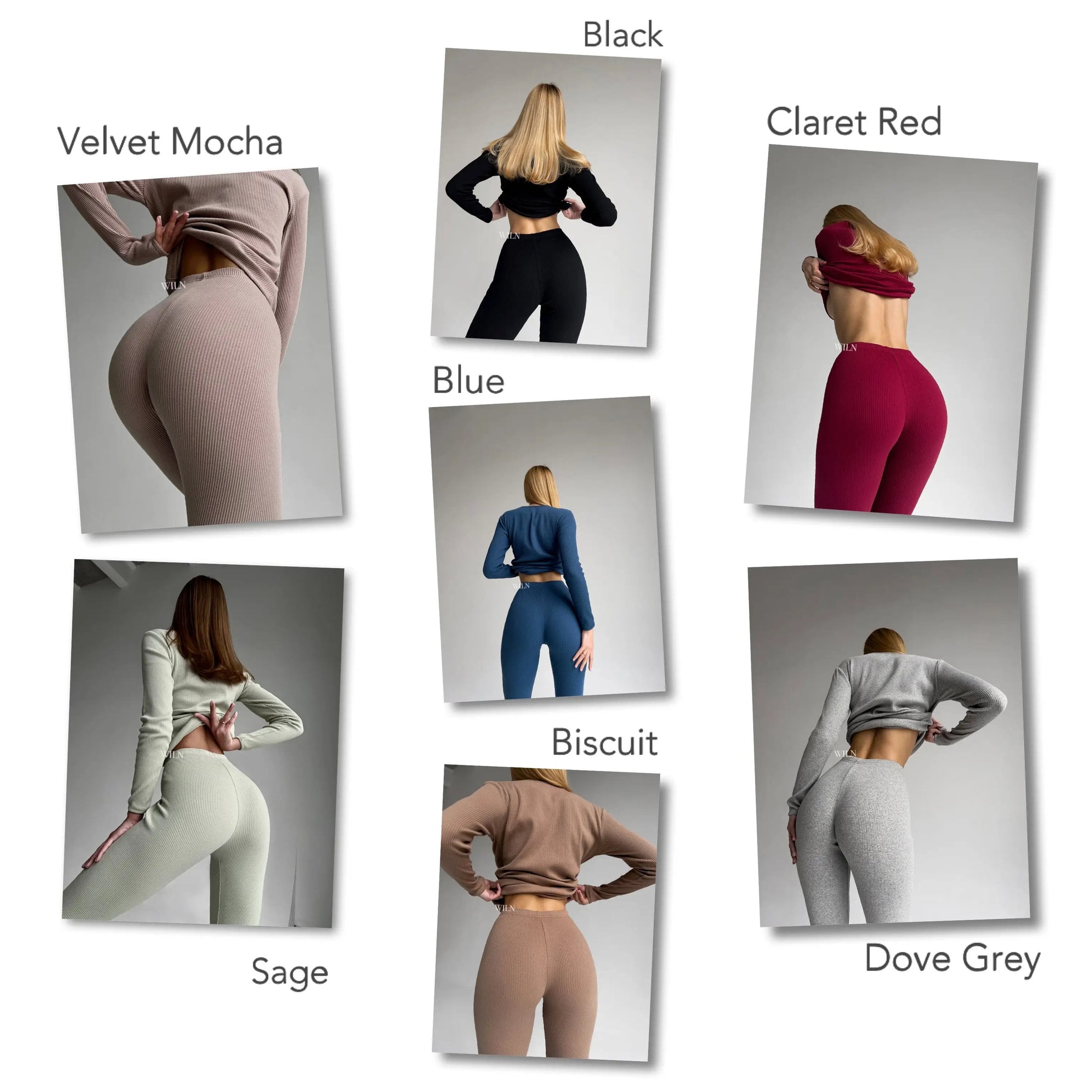 EASE by WILN - view 6 | Buddy Brandz