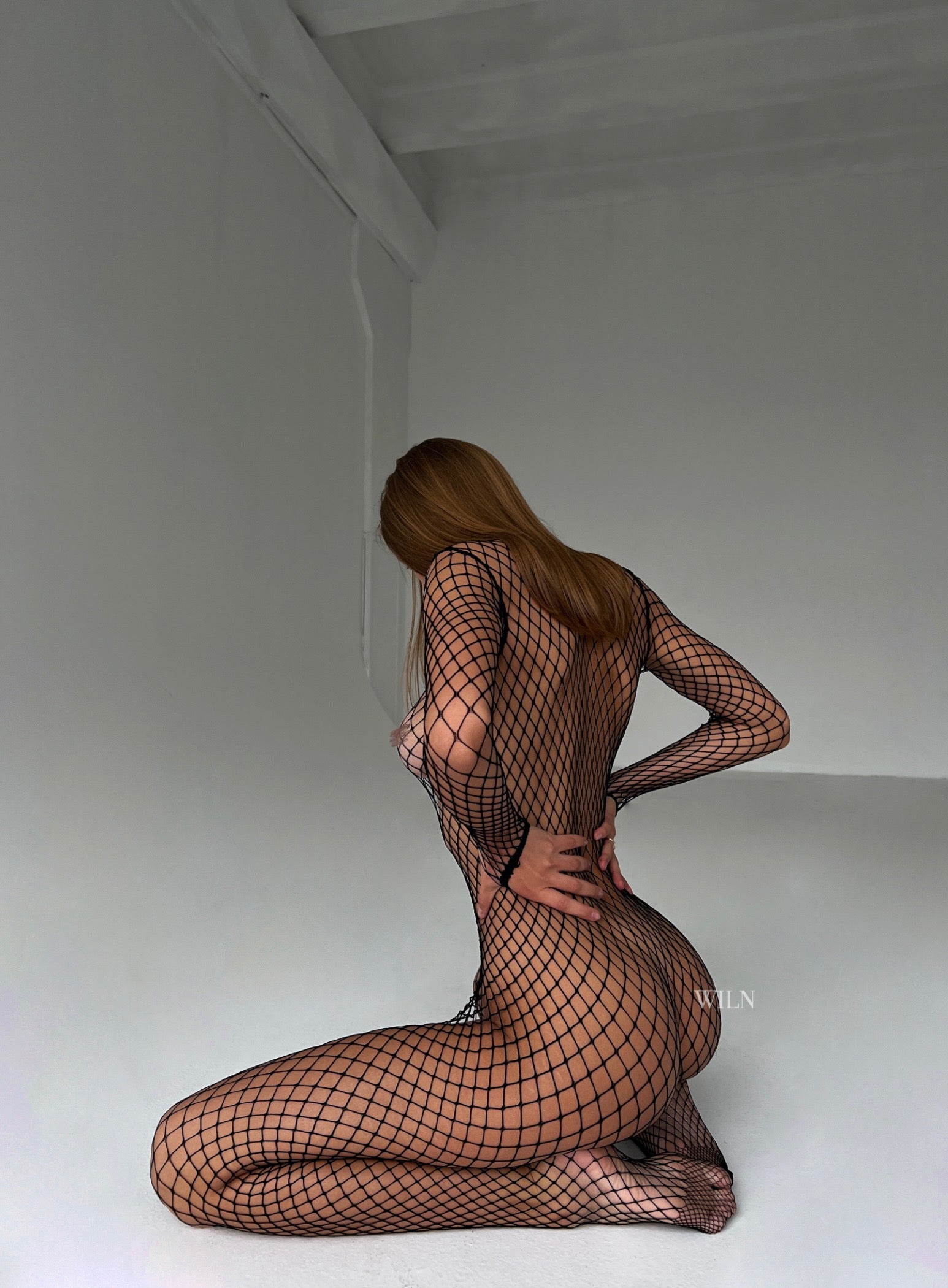 PREY by WILN.com - view 4 | Buddy Brandz