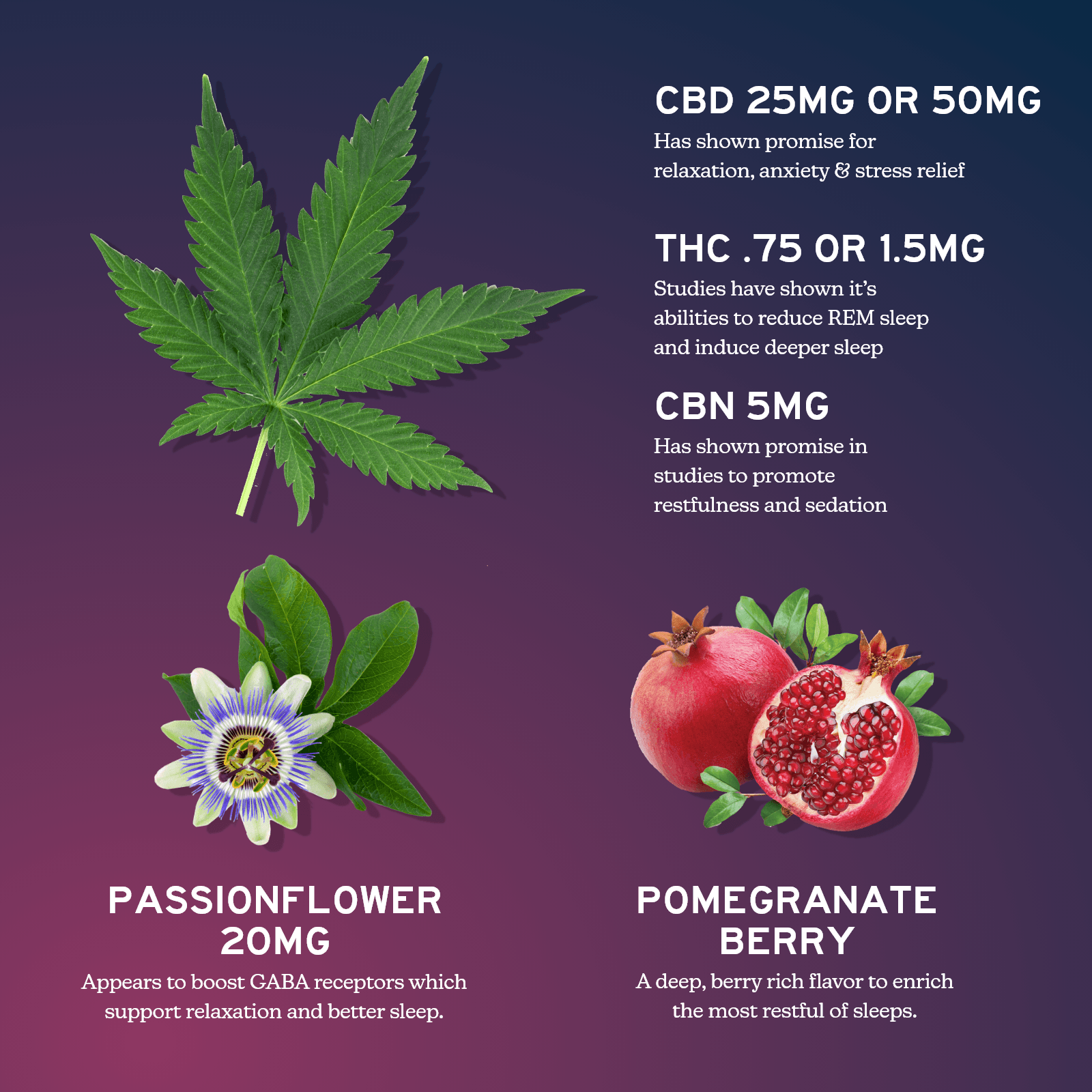 CBD Gummies For Sleep - Full Spectrum CBD + CBN by Alchemy Naturals - view 3 | Buddy Brandz