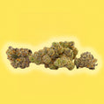 Load image into Gallery viewer, Lemon Cherry Gelato - THCa Flower - Hybrid by Grenco Goods - view 3 | Buddy Brandz
