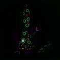 Load image into Gallery viewer, Pulsar Fruit Series Watermelon Zkittles Herb Pipe Glow Duo - 10" / 14mm F by Smoke Drop - view 2 | Buddy Brandz
