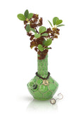 Load image into Gallery viewer, Turtle Vase Bong by Smoke Drop - view 7 | Buddy Brandz
