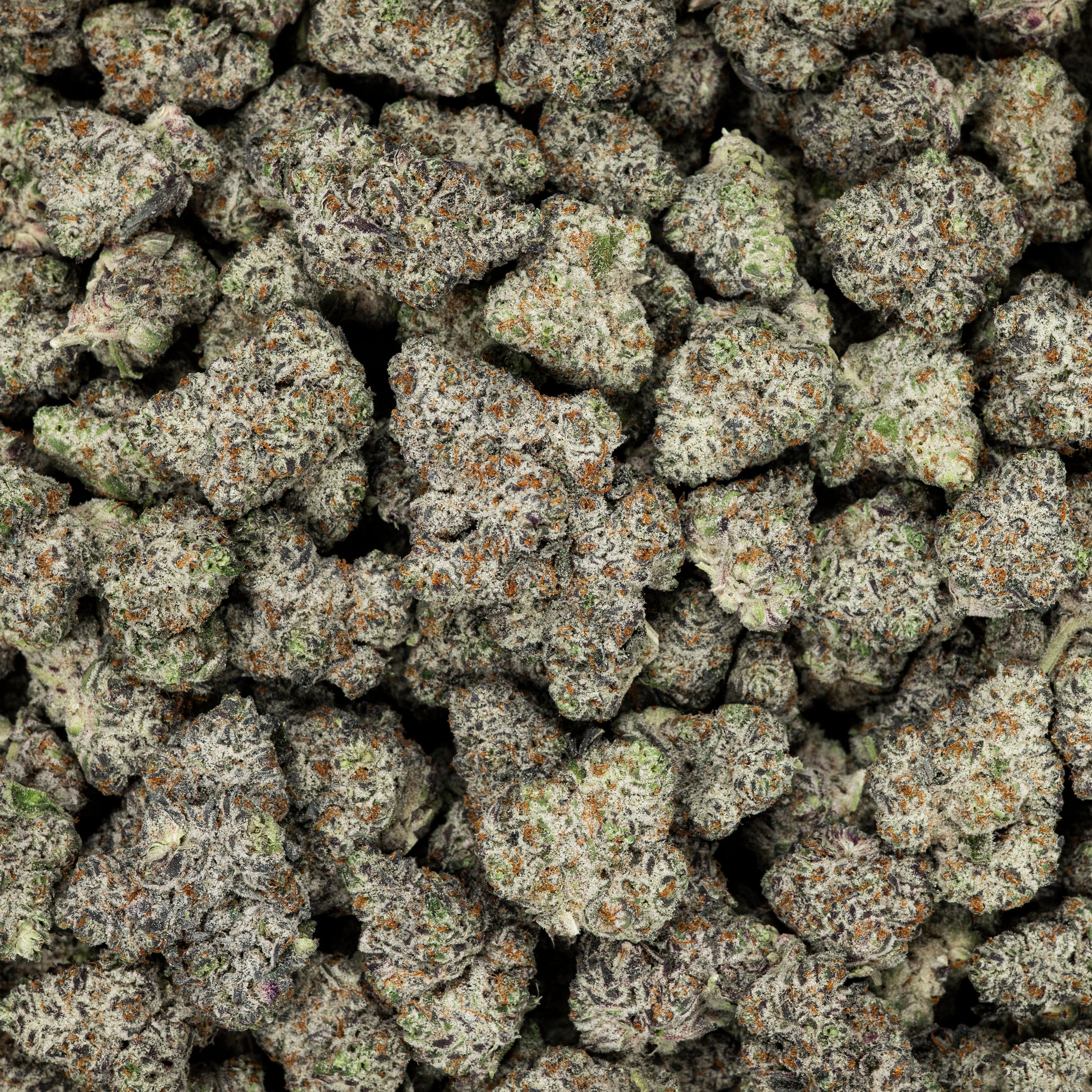 Revelry White Truffle THCA Flower (AAA Indoor) by Smoke Drop - view 3 | Buddy Brandz