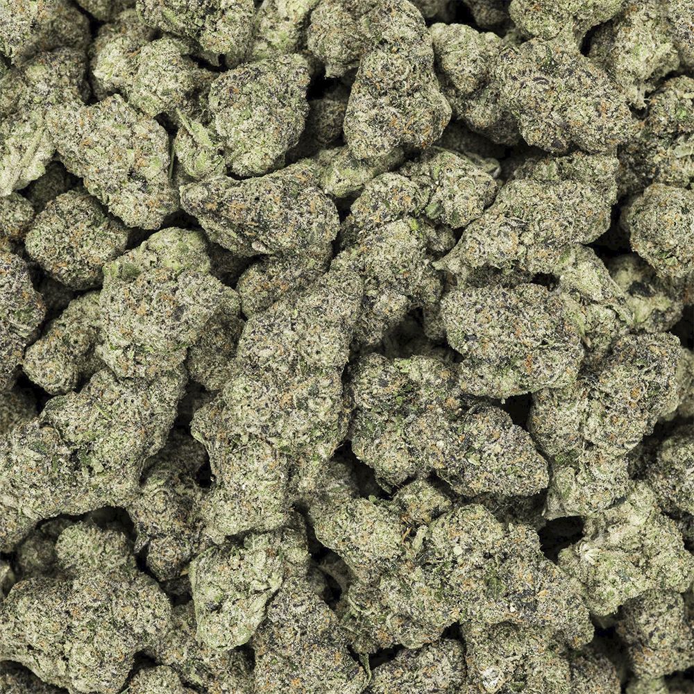 Revelry Premium Indoor THCA Pre-Rolls | 0.5g | 14pc Pack by Smoke Drop - view 22 | Buddy Brandz
