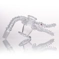 Load image into Gallery viewer, Space King Crocodile Banger - Limited Edition by Space King - view 3 | Buddy Brandz

